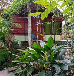 Quadruple Room with Private Bathroom