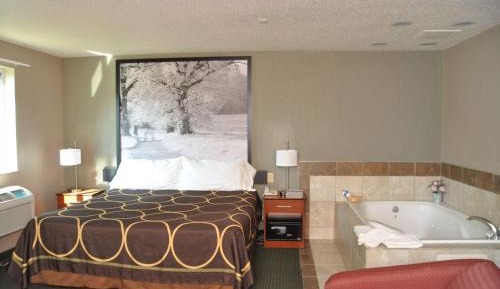 1 King Bed, Pet Friendly, Studio Premier Suite, Non-Smoking