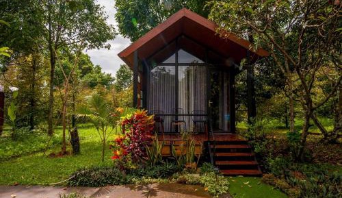 Family Bungalow