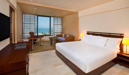 Queen Deluxe Plus Room