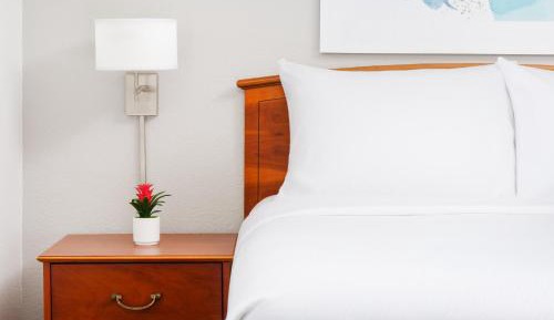 One-Bedroom Queen Suite with Sofa Bed