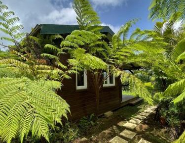 One-Bedroom Chalet