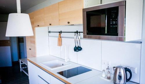 One-Bedroom Apartment (4 Adults)