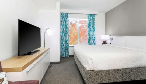 One-Bedroom King Suite with Sofa Bed