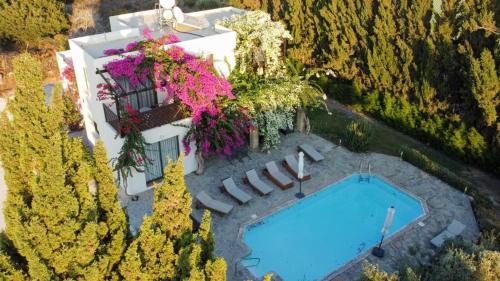 Four-Bedroom Villa (8 Adults)