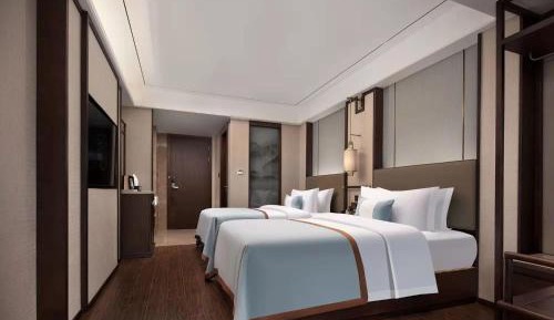Elegant Twin Room 