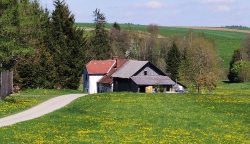 Holiday Home