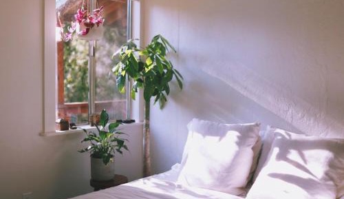 Deluxe Double Room with Shower