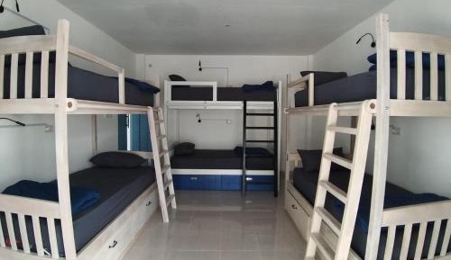 Bunk Bed in Female Dormitory Room  