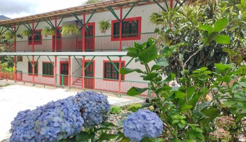 Superior Double or Twin Room with Mountain View
