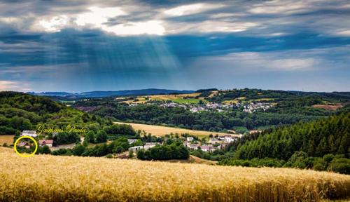 Standard Single Room with Mountain View