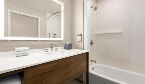 Queen Studio with Two Queen Beds - Bath/Shower Combo