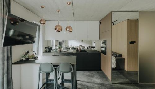 Penthouse Apartment