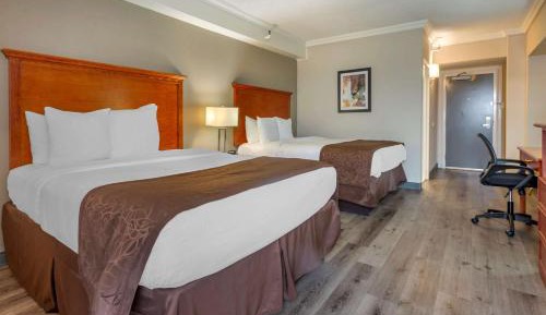 Queen Room with Two Queen Beds - Non-Smoking