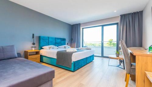 Deluxe Double or Twin Room with Balcony