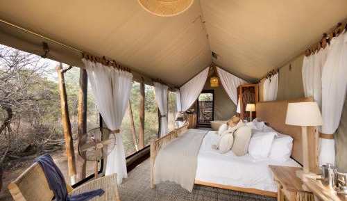 Safari Tent with 2 Game Drives