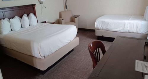Queen Room with One Queen Bed and One Single Bed