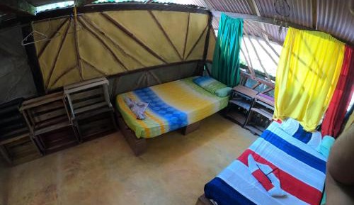 Single Bed in 6-Bed Dormitory Room