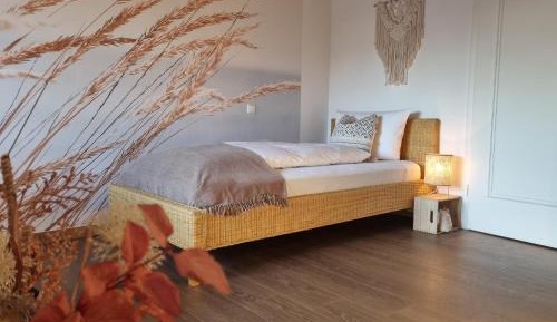 Single Room with Terrace