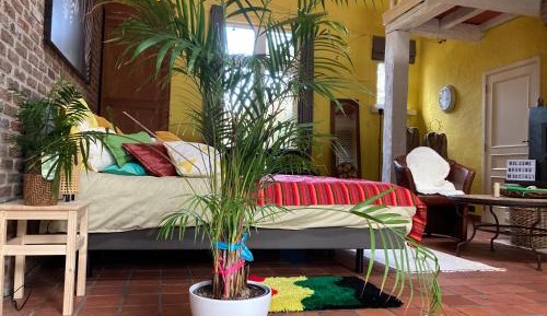 King Room with Garden View
