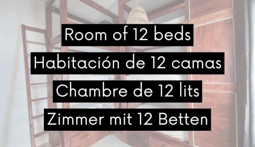 Bunk Bed in a Mixed 12-bed Dormitory Room