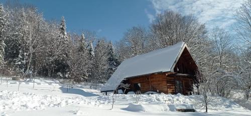 One-Bedroom Chalet
