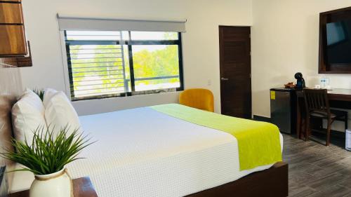 Single Room