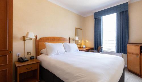 Cozy Double Room