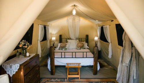 Tent