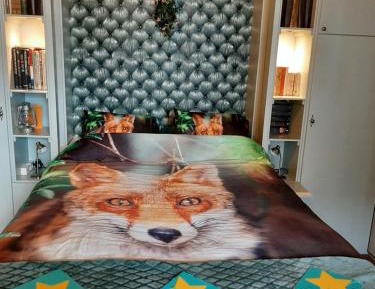 Deluxe Double or Twin Room with Garden View