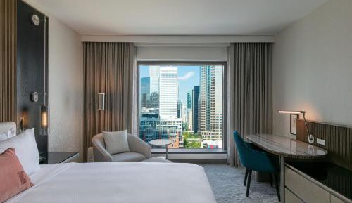 King Guest Room with City View