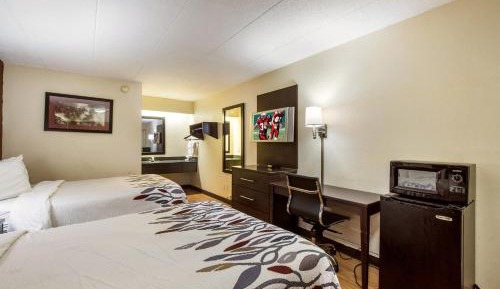Superior Room with Two Double Beds Non-Smoking