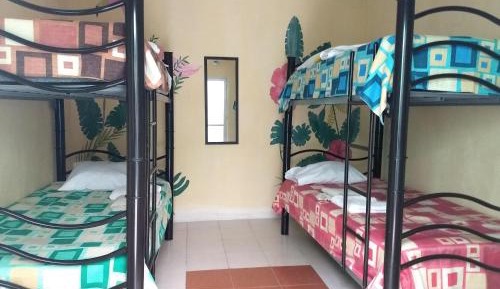 4-Bed Mixed Dormitory Room