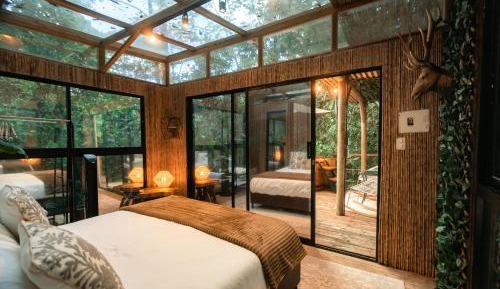 Bubble Sky - New Crystal Glamping