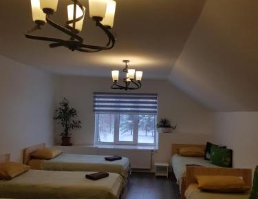 Mixed Dormitory Room