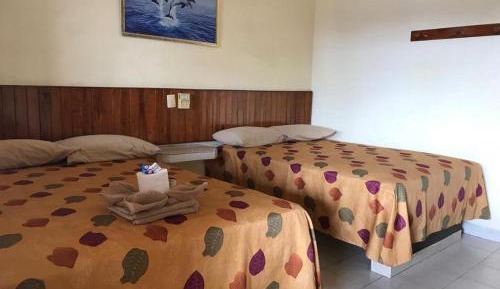 Budget Twin Room