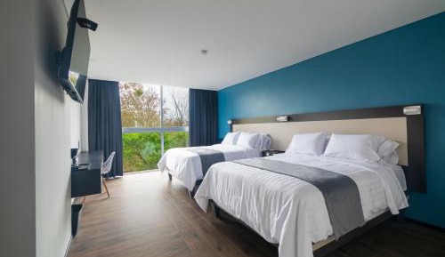 Standard Suite