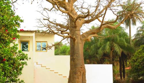 Double Room with Terrace