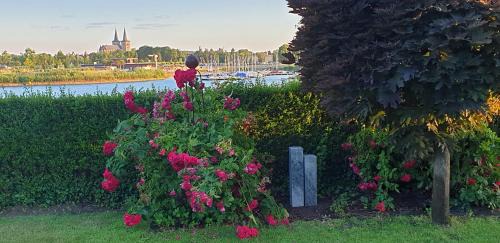 Double Room with Lake View
