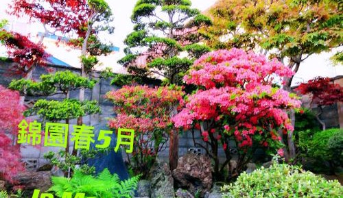 Japanese Suite Room with Garden View