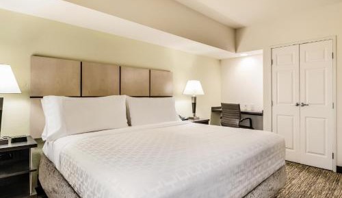 One-Bedroom Queen Suite