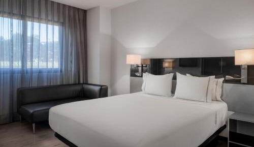 Standard Plus, Guest room, 1 King