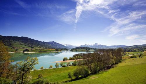 Double Room with Lake View