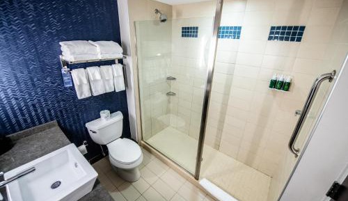 Suite, 1 King, Sofa bed