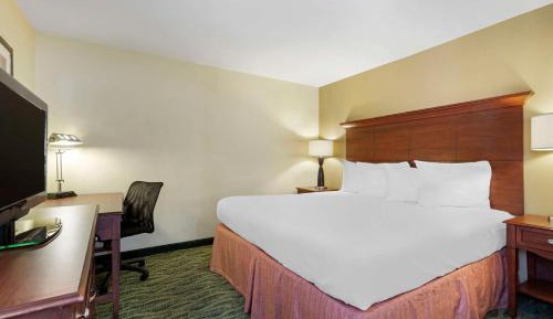 King Suite with Sofa Bed