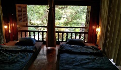 Single Bed in Mixed Dormitory Room