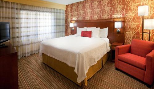 King Suite with Sofa Bed