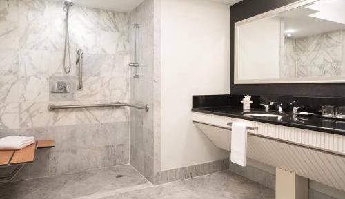 Classic Room with 1 King Bed Roll-in Shower - Mobility and Hearing Accessible