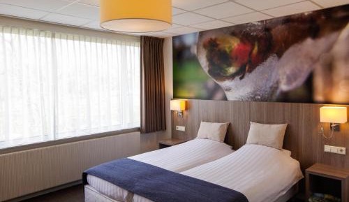Superior Double/Twin Room