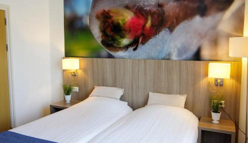 Comfort Double/Twin Room